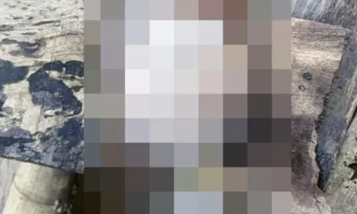 Heboh Ada Potongan Payudara di Surabaya Ditemukan Bocah saat Mancing, Korban Mutilasi?