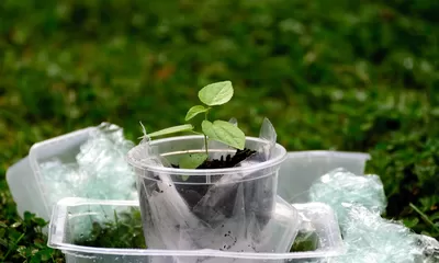 Urgensi pada ASN dalam Menjaga Lingkungan Berbasis Ekoteologi  Melalui Zero Waste Lifestyle