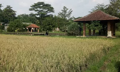 Staycation Ala Desa di Cinangneng Bogor: Asri, Edukatif, dan Bikin Nagih!