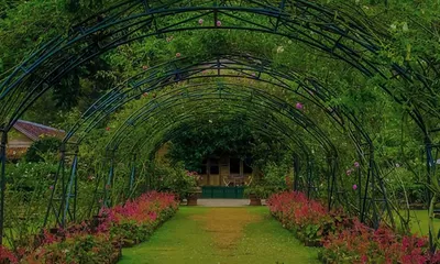 Liburan ke Garut? Ini 5 Tempat Wisata Kekinian yang Wajib Kamu Coba!