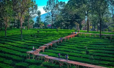 Liburan Asyik Keluarga di Gunung Mas Puncak, Harga Tiket Murah, Wahana Super Lengkap untuk Si Kecil!