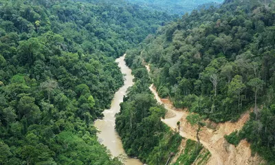 Fakta Lengkap Allied Hill yang Kuasai Saham 92 Persen Toba Pulp Lestari 2025 di Balik Isu Banjir Sumatra