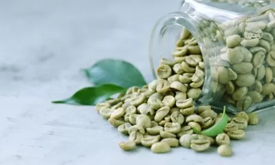 Berbeda dengan Kopi Biasa, Ini Manfaat Kopi Hijau Untuk Kesehatan