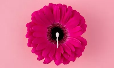 Kapan Waktu yang Tepat untuk Program Bayi Tabung?