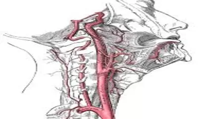 Mengenal Asfiksia: Ketika Tubuh Kehilangan Akses Oksigen Secara Mendadak