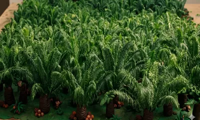Serangga Kecil dari Tanzania Bisa Dongkrak Produksi Sawit Indonesia 10–15 Persen