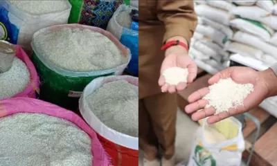 Target Pasar Jakarta, Parigi Moutong Genjot Kualitas Beras Premium Menuju IP300
