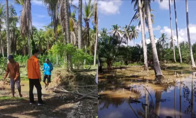 Tujuh Desa Dihantam Banjir, Ratusan Keluarga di Moutong dan Taopa Terdampak