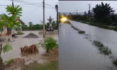Tanggul Tapeau Jebol, Banjir Rendam Rumah dan Sawah di Balinggi Jati Parigi Moutong
