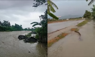 Hujan Lebat di Parigi Moutong, Banjir Rendam 8 Hektare Sawah Toribulu dan Sienjo