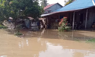 Banjir Rendam Rumah dan Tambak di Lebagu Balinggi Parigi Moutong
