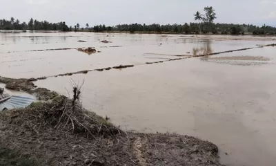 Banjir Rendam 5 Kecamatan di Parigi Moutong, Infrastruktur dan Ratusan Hektare Lahan Rusak
