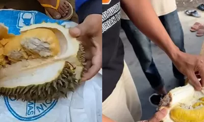 Atasi Fenomena Bangkalan Durian, Parigi Moutong Siapkan Pupuk Berpaten