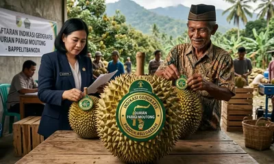 Peran Bappelitbangda Parigi Moutong Lindungi Durian Lokal Lewat Indikasi Geografis