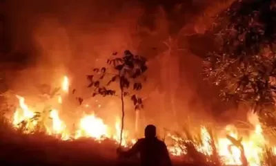 BMKG Peringatkan Potensi Karhutla di 13 Daerah Sulawesi Tengah, Buol Paling Rawan