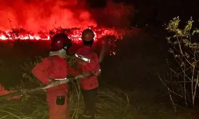 BMKG Peringatkan El Nino Ekstrem, Sultra Terancam Kebakaran Hutan