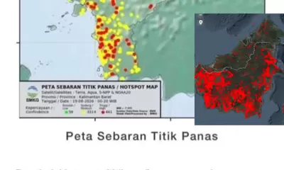 Kebakaran Lahan Kalimantan Sentuh 32 Ribu Hektare, Kalbar Terparah