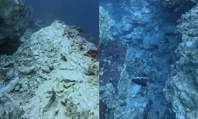 Karang Bawah Laut Komodo Retak Usai Gempa M7,7 dan Ribuan Susulan