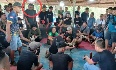 Dugaan Pembiaran Judi di Deli Serdang, Publik Desak Evaluasi Aparat