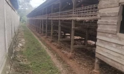 Warga Laporkan Pabrik Kopra Diduga Ilegal, Sorot Nama Pemilik dan Ancam Gugatan