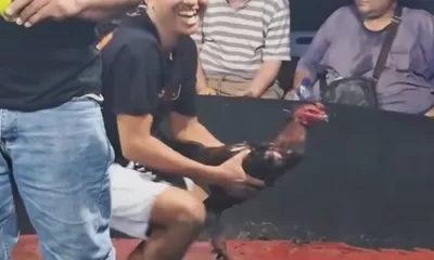 Dugaan  Judi  Besar Di Kutalimbaru di Sorot. 