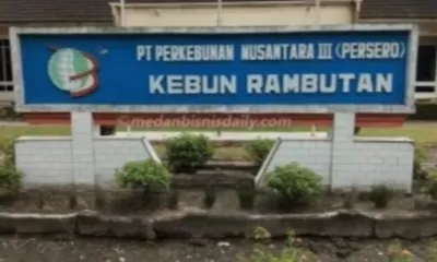 Publikasi Media Dihentikan, LSM PAKAR Soroti Transparansi PTPN III Kebun Rambutan