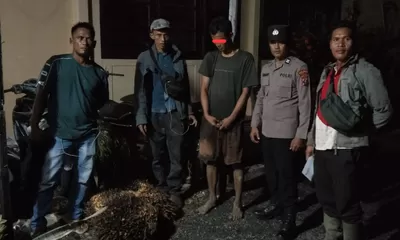 Diduga Curi Empat Tandan Sawit Milik Perusahaan, Seorang Pemuda Diamankan di Pinangsori