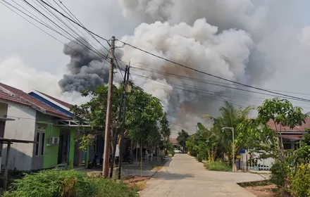 Karhutla Barito Kuala Merembet ke Permukiman, Tiga Rumah Dilaporkan Terdampak