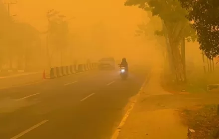 Wajib Tahu! Panduan Bertindak Cepat Jika Kendaraan Anda Terkepung Karhutla di Tengah Jalan