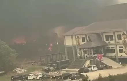 Api Berkobar di Belakang Gedung Dishub, Karhutla Merembet Dekati Kompleks Kantor Pemkot Palangka Raya