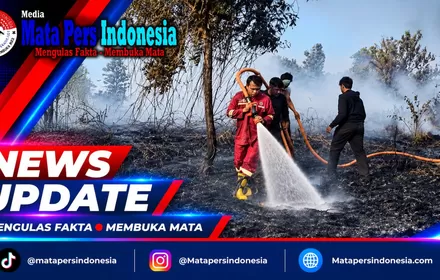243 Orang Jadi Tersangka Karhutla, Ini Perkembangan Penyidikan dan Sanksi Perusahaan