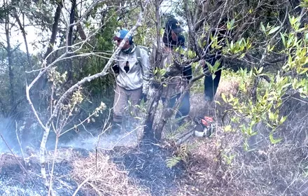 Update,Kebakaran Gunung Sumbing, Tiga Titik Api Masih Aktif pada Hari Keempat