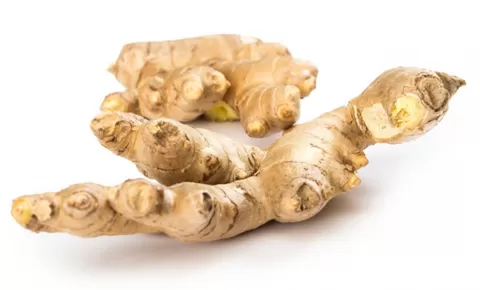 Resep JSR Pelancar Darah, Zaidul Akbar Gunakan 7 Bahan Ini, Salah Satunya 1 Ruas Jahe