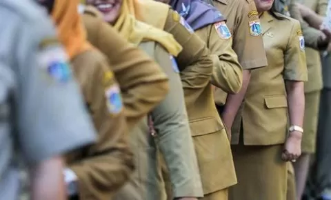 PPPK Akhirnya Bisa Kenakan Seragam Ini, Apa Alasannya?