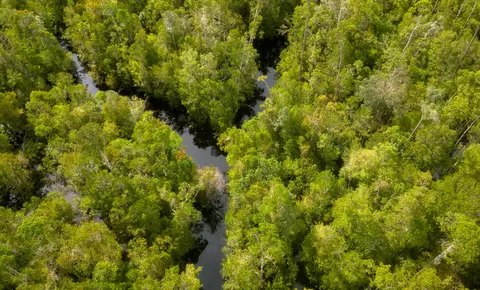 Menakar Jalan Panjang Menuju Net Zero Emission 2060, Begini Peran GIZ dalam Transformasi Hijau Indonesia