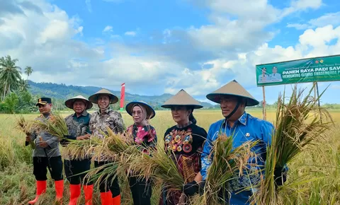 Yulius Selvanus Berhasil Naikan Nilai Tukar Petani di Sulawesi Utara, Sektor Hortikultura Melonjak Tajam