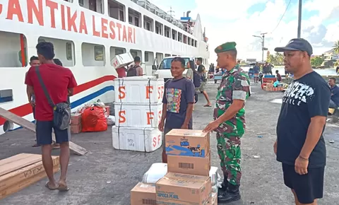 Pastikan Kegiatan Bongkar Muat Aman dan Lancar Babinsa koramil 1312- 02/lirung laksanakan P emantauan penumpang kapal