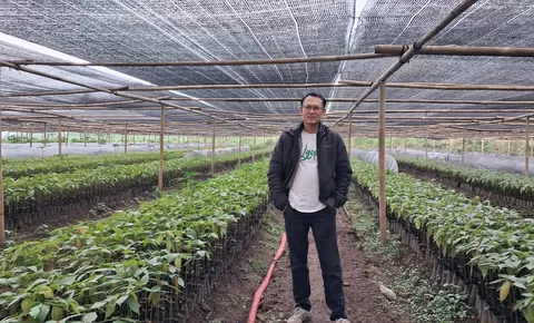 Generasi muda Subang diajak bertani kakao, peluang usaha terbuka lebar di pasar global