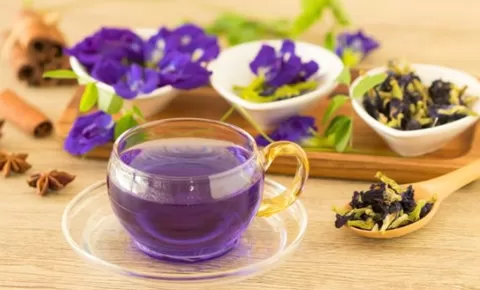 Mengenal Manfaat Bunga Telang, Mulai dari Teh Herbal Hingga Pewarna Alami