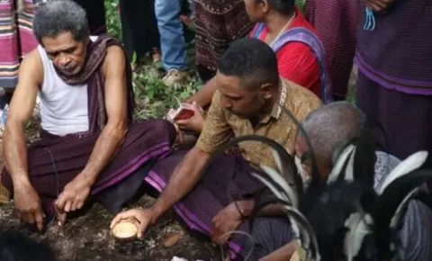 Mengenal Tradisi Gute Semei di Wulandoni, Ritual Kumpulkan Darah Korban Pembunuhan Demi Perdamaian