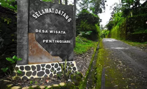 Tersembunyi di Lereng Gunung Merapi, Desa Pentingsari Tawarkan Wisata Alam, Budaya, hingga Tur Lava yang Ramai Dicari