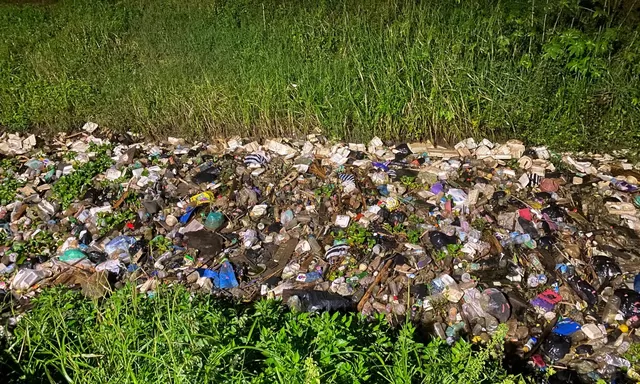 Sawah Tenggelam, Sampah Menumpuk: Lahan Produktif Turunrejo Kini Berubah Jadi Tambak