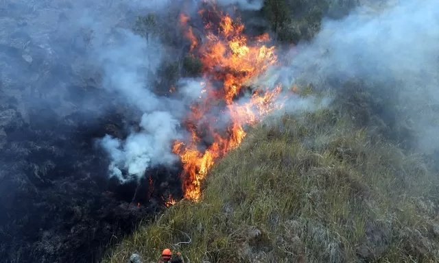 Kebakaran Hutan Kalimantan