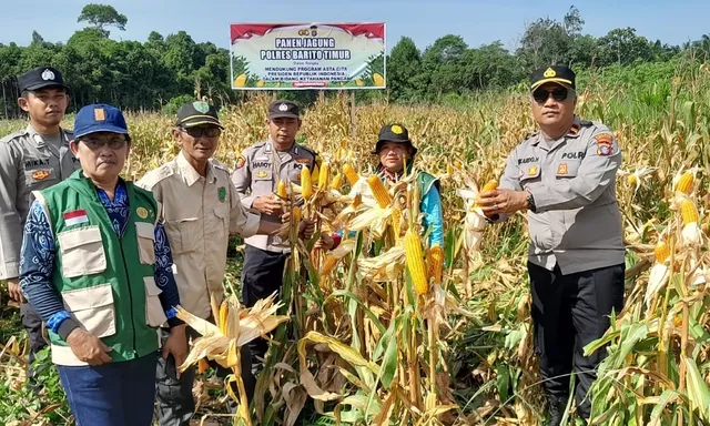 Panen Jagung 1 Ton di Desa Bambulung, Polsek Pematang Karau Dukung Swasembada Pangan 2026