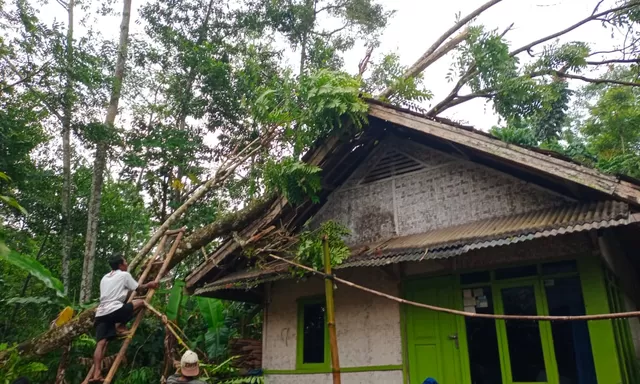 Peringatan dari BNPB: Angin Kencang dan Banjir Landa Sejumlah Daerah, Warga Diminta Waspada Cuaca Ekstrem