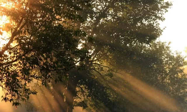 Pagi yang Damai, Hati yang Bising Inilah Sebuah Perjalanan Menuju Kesadaran Hakiki