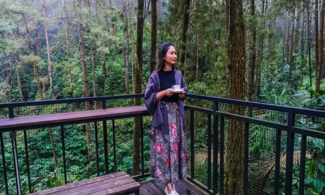 Ini Pengalaman Wamenpar Saat Menyambangi DeLoano Glamping di Perbatasan Kulon Progo dan Purworejo