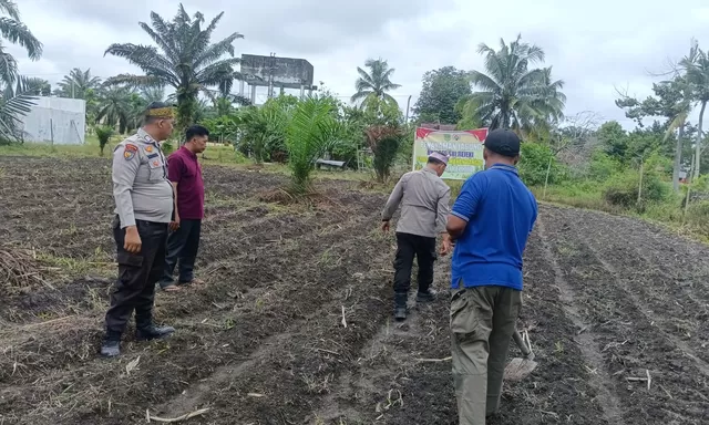 Polsek Kunto Darussalam Cek Perkembangan Jagung Pipil, Ajak Petani Dukung Swasembada Pangan Nasional