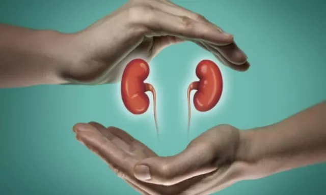 Tanpa Disadari, Lima Rutinitas Harian Ini Diam-diam Bisa Picu Batu Ginjal di Tubuhmu