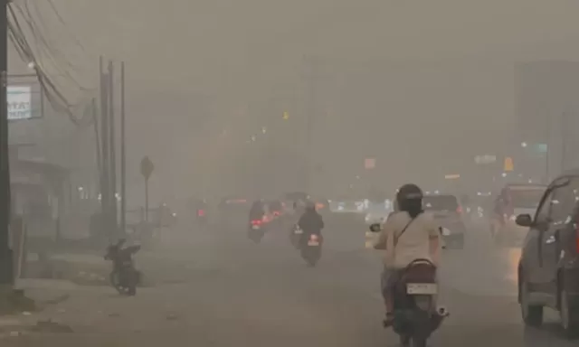 Kabut Asap Pekat Kembali Selimuti Kalimantan, Unggahan Warga Ramai Singgung Pernyataan Aktivitas Normal BNPB